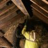 Loft before conversion